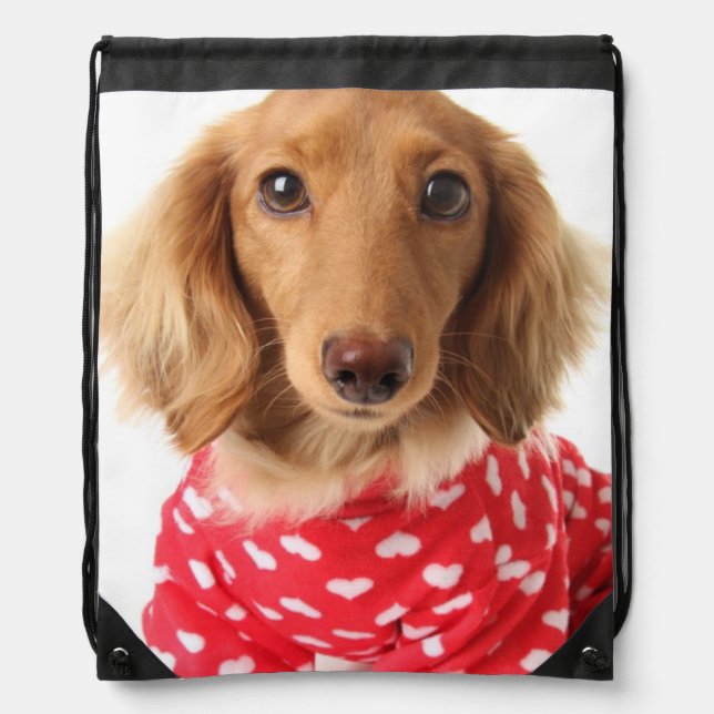 Dachshund Puppy Wearing Valentine's Outfit Drawstring Bag (Front)