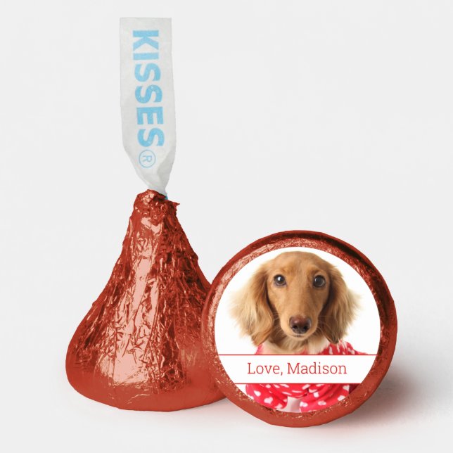 Dachshund Puppy Wearing Valentine's Outfit Hershey®'s Kisses® (Front)