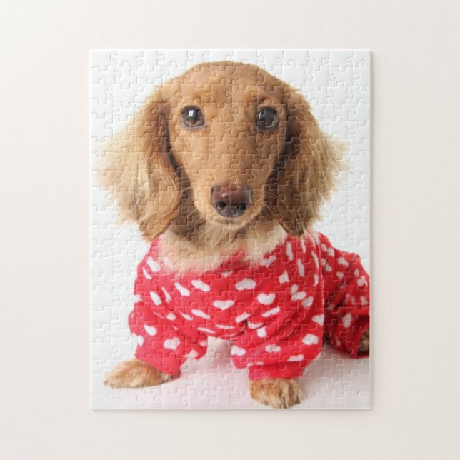 Dachshund Puppy Wearing Valentine's Outfit Jigsaw Puzzle (Vertical)