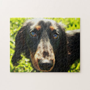 Dachshund Puzzle