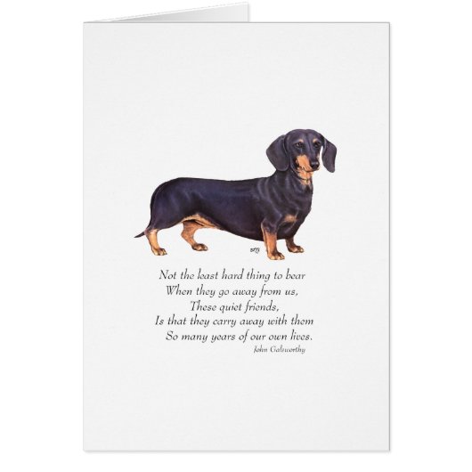 Dachshund Rainbow Bridge Cards (Front)