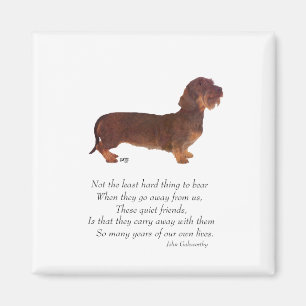 Dachshund Rainbow Bridge Magnet