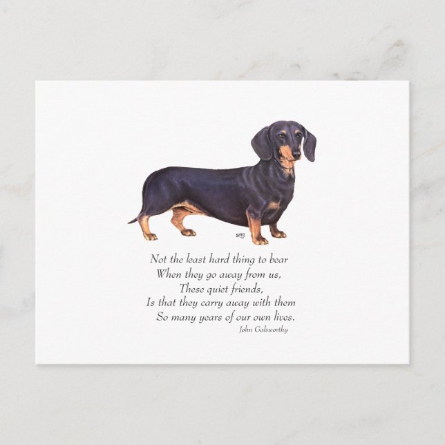 Dachshund Rainbow Bridge Postcard (Front)