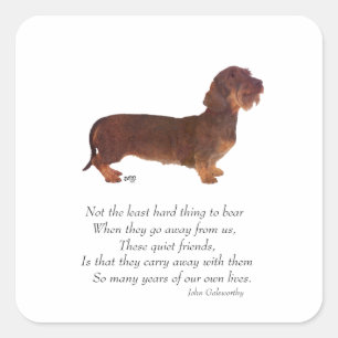 Dachshund Rainbow Bridge Square Sticker