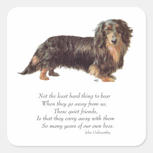 Dachshund Rainbow Bridge Square Sticker