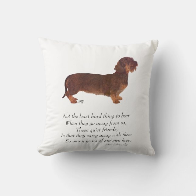 Dachshund Rainbow Bridge Throw Pillow (Front)