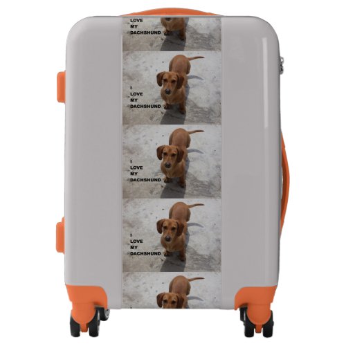 dachshund red full love w pic luggage
