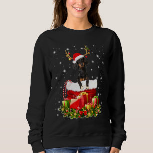 Dachshund Reindeer In Santa Sack Box Costume Sweatshirt