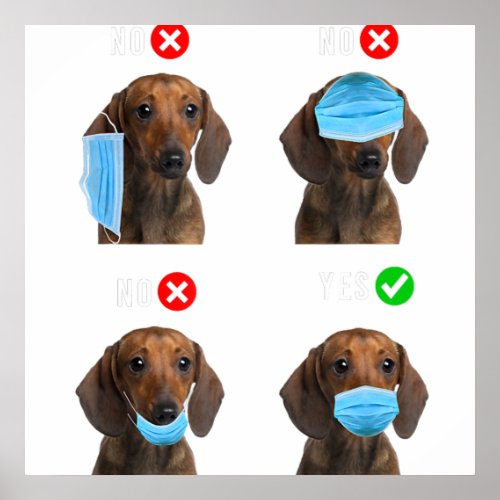 Dachshund Right Wear Face Mask   Men Women Poster