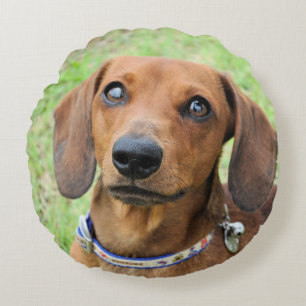 dachshund round pillow