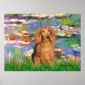 Dachshund (sable long haired) - Lilies 2 Poster