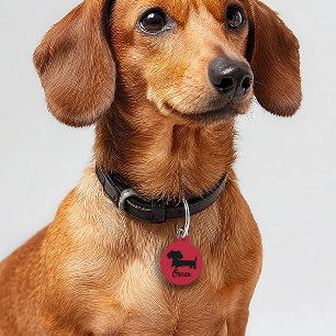 Dachshund Safety Tags Wiener Dog Tag Personalized