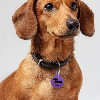 Dachshund Safety Tags Wiener Dog Tag Personalized