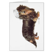 Dachshund Sailor (Front)