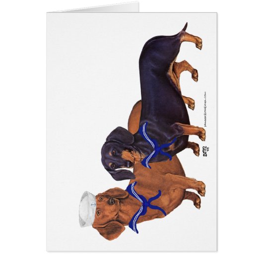 Dachshund Sailors Cards (Front)
