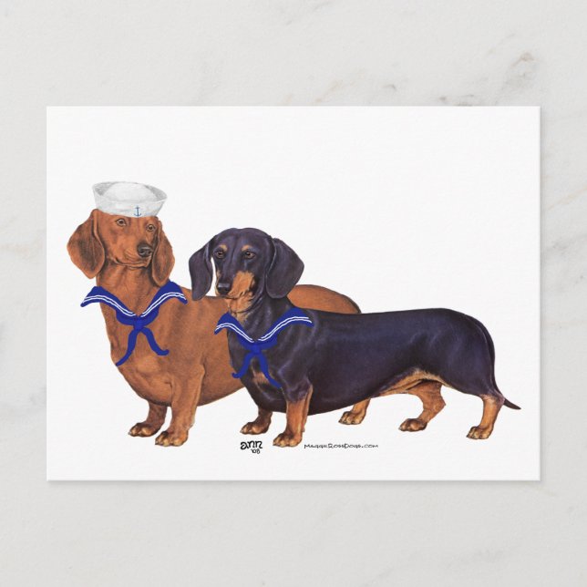 Dachshund Sailors Postcard (Front)