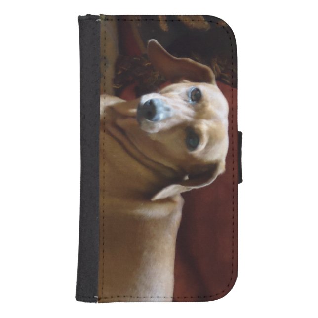 Dachshund Samsung Galaxy Wallet Case (Front)