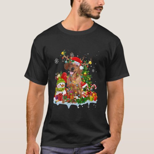 Dachshund Santa Hat Reindeer Christmas Lights T_Shirt