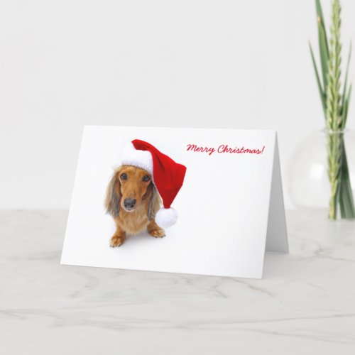 dachshund santa holiday card
