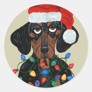 Dachshund Santa Tangled In Christmas Lights Classic Round Sticker