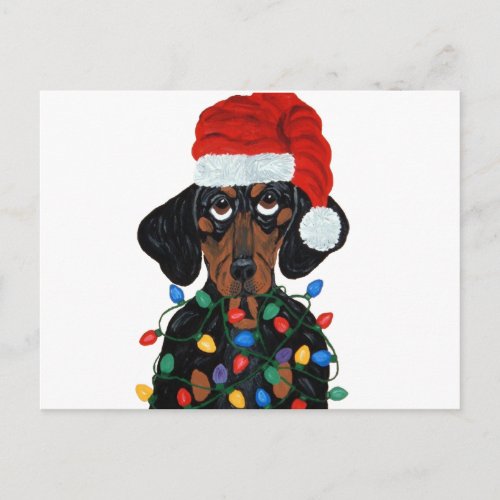 Dachshund Santa Tangled In Christmas Lights Holiday Postcard