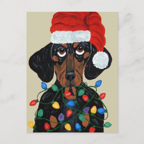 Dachshund Santa Tangled In Christmas Lights Holiday Postcard