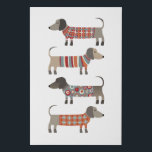 Dachshund Sausage Dog Faux Canvas Print<br><div class="desc">Cute little Dachshund sausage or wiener dogs in woolly knitwear. Perfect for dog lovers and dog walkers.</div>