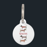 Dachshund Sausage Dog Name Pet ID Tag<br><div class="desc">Cute little Dachshund sausage or wiener dogs in woolly knitwear. 
Personalize with your own pet's name  on the front and your contact number on the back.</div>