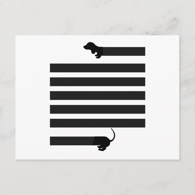 dachshund sausage dog postcard (Front)
