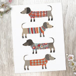 Dachshund Sausage Dog Postcard<br><div class="desc">Cute little Dachshund sausage or wiener dogs in woolly knitwear. Perfect for dog lovers and dog walkers.</div>
