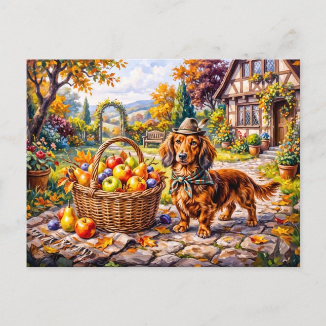 Dachshund Sitting Beside Apples Pumpkins Autumn Ga Postcard (Front)