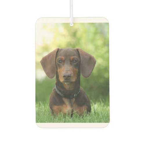 Dachshund Sitting in Grass Air Freshener