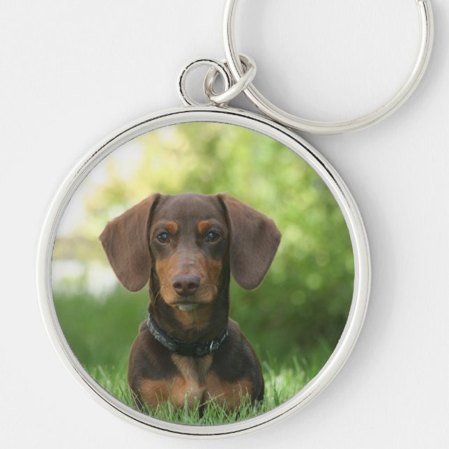 Dachshund Sitting in Grass Keychain (Front)