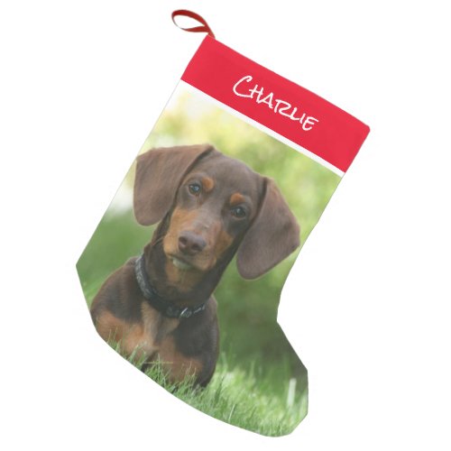 Dachshund Sitting in Grass Small Christmas Stocking