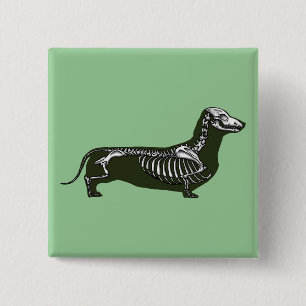 dachshund skeleton button