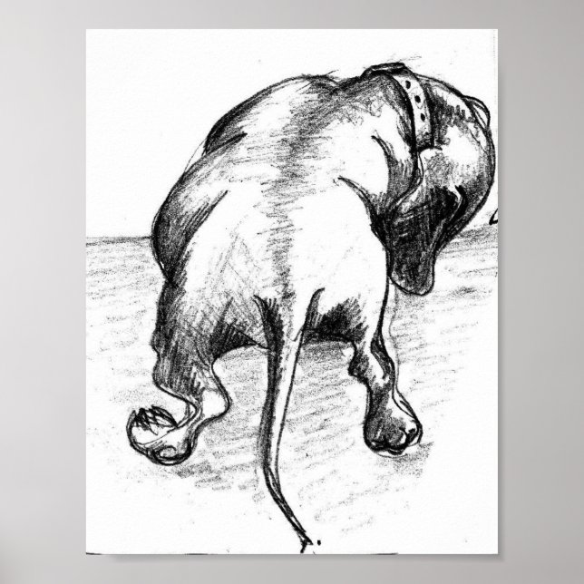 Dachshund sketch poster (Front)