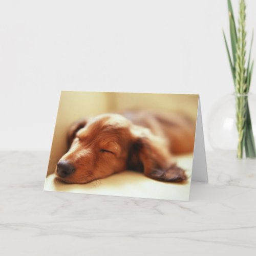 Dachshund sleeping card