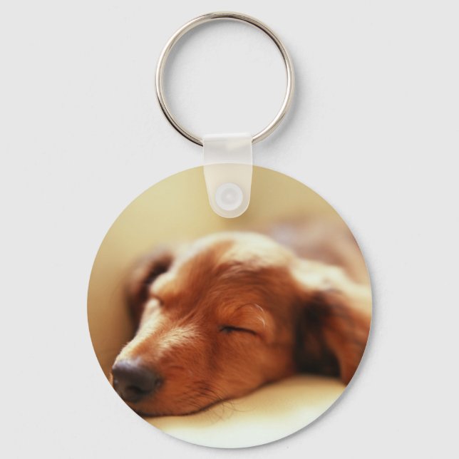Dachshund sleeping keychain (Front)