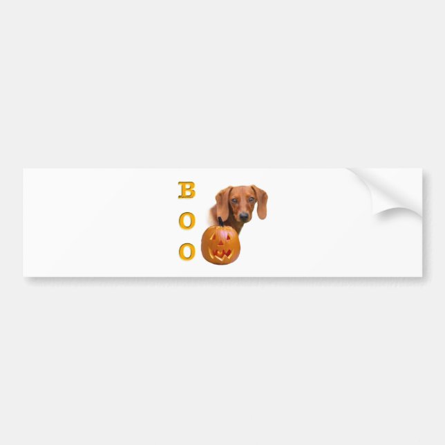 Dachshund (smooth) Boo Bumper Sticker (Front)
