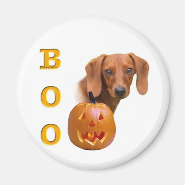 Dachshund (smooth) Boo Magnet (Front)