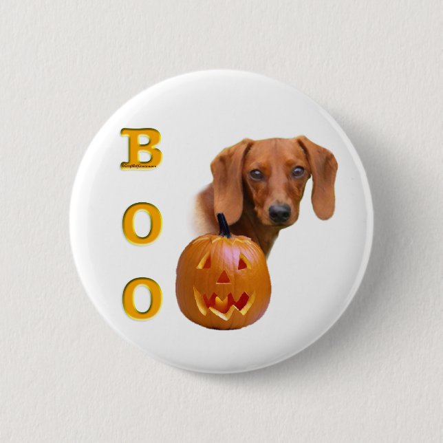 Dachshund (smooth) Boo Pinback Button (Front)