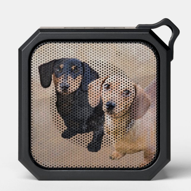 Dachshund (Smooth) Painting - Original Dog Art Bluetooth Speaker (Front)