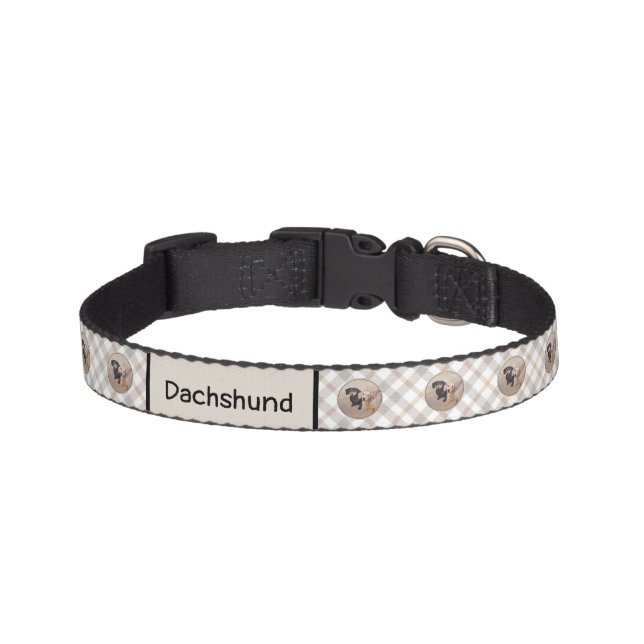 Dachshund (Smooth) Painting - Original Dog Art Pet Collar (Front)