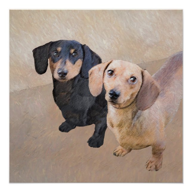 Dachshund (Smooth) Painting - Original Dog Art Poster (Front)