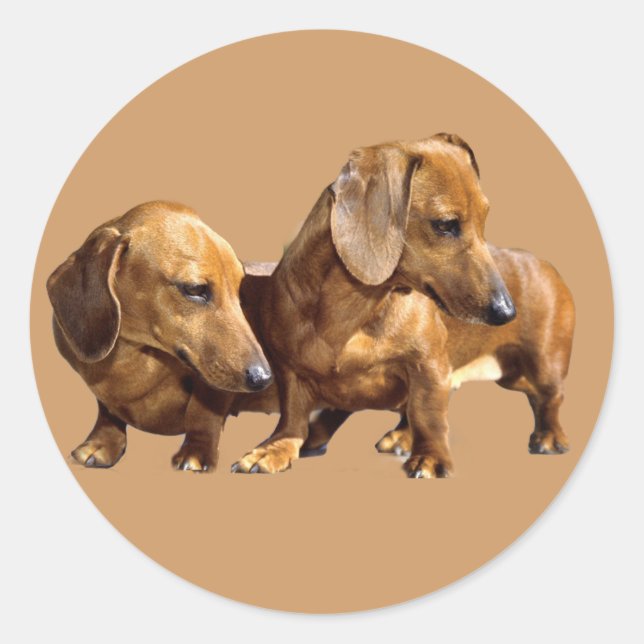 Dachshund Smoothies Sticker (Front)