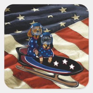 DACHSHUND  SQUARE STICKER