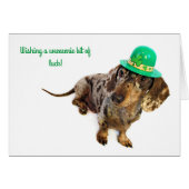 Dachshund St. Patty's Day (Front Horizontal)