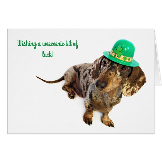 Dachshund St. Patty's Day Cards (Front Horizontal)