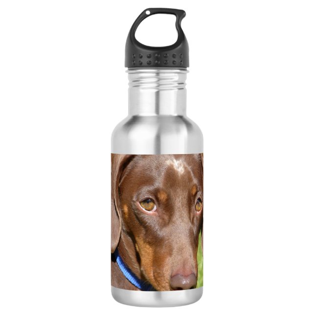 Dachshund Stainless Steel Water Bottle (Front)