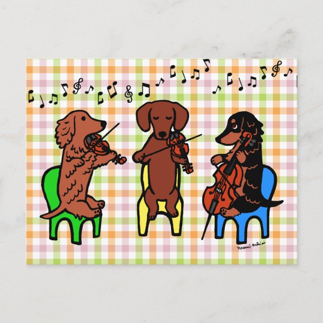 Dachshund String Trio Postcard (Front)